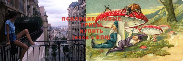 трава Арсеньев