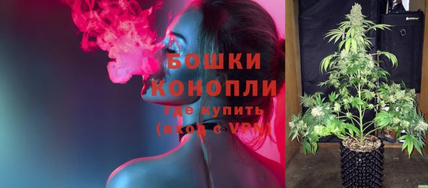 прущие грибы Армянск